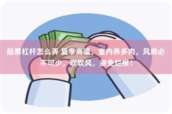 股票杠杆怎么弄 夏季高温，室内养多肉，风扇必不可少，吹吹风，避免烂根！