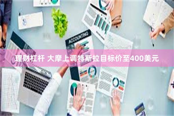 理财杠杆 大摩上调特斯拉目标价至400美元
