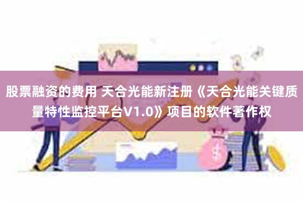 股票融资的费用 天合光能新注册《天合光能关键质量特性监控平台V1.0》项目的软件著作权