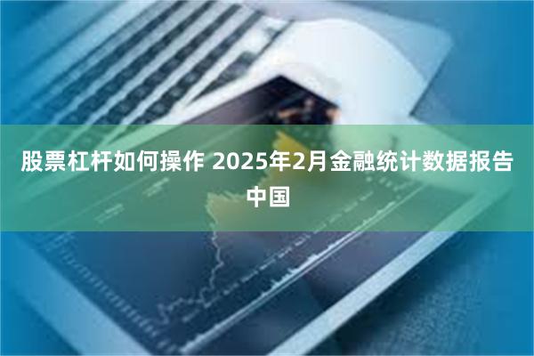 股票杠杆如何操作 2025年2月金融统计数据报告中国