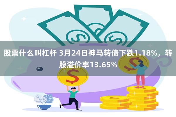 股票什么叫杠杆 3月24日神马转债下跌1.18%，转股溢价率13.65%