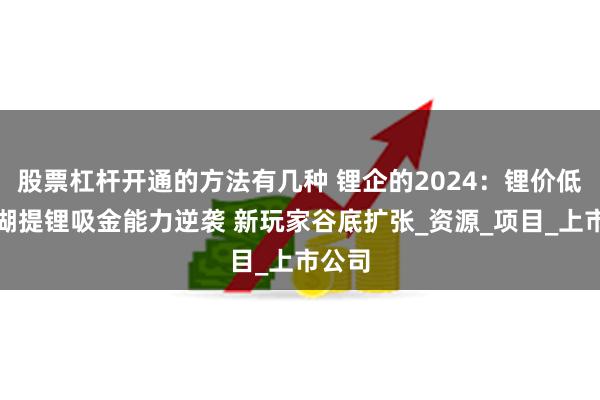 股票杠杆开通的方法有几种 锂企的2024：锂价低迷盐湖提锂吸金能力逆袭 新玩家谷底扩张_资源_项目_上市公司