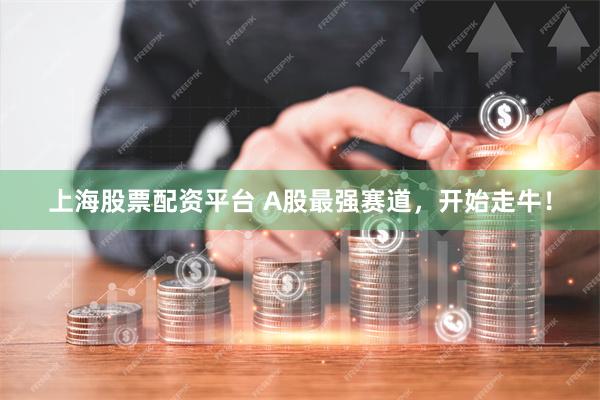 上海股票配资平台 A股最强赛道，开始走牛！