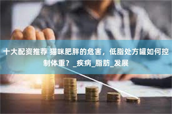 十大配资推荐 猫咪肥胖的危害，低脂处方罐如何控制体重？_疾病_脂肪_发展