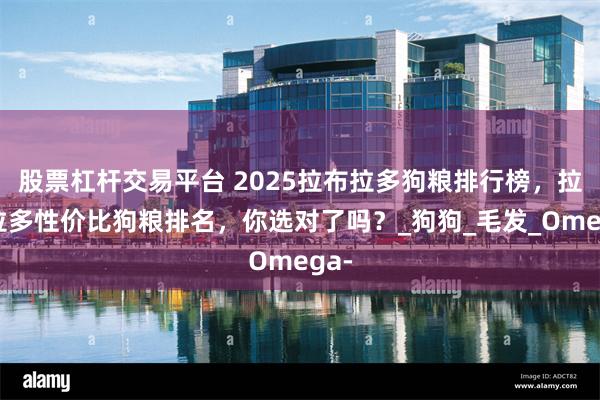 股票杠杆交易平台 2025拉布拉多狗粮排行榜，拉布拉多性价比狗粮排名，你选对了吗？_狗狗_毛发_Omega-