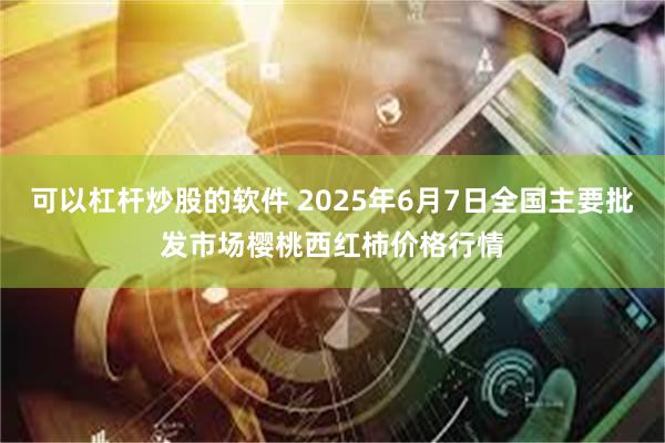 可以杠杆炒股的软件 2025年6月7日全国主要批发市场樱桃西红柿价格行情