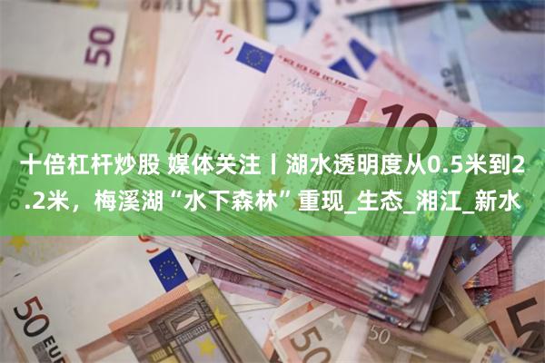 十倍杠杆炒股 媒体关注丨湖水透明度从0.5米到2.2米，梅溪湖“水下森林”重现_生态_湘江_新水