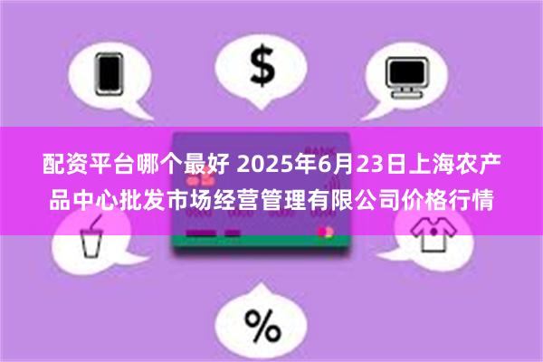 配资平台哪个最好 2025年6月23日上海农产品中心批发市场经营管理有限公司价格行情